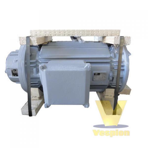 Three-phase electric motor for windlass